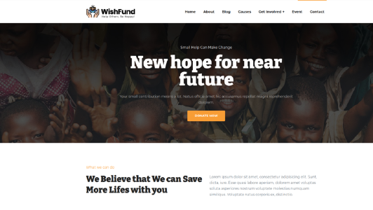 Website example for Non-Profit